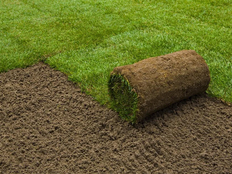 grading-sod grading and sod near me