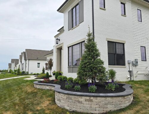 Top Landscaping Trends for a Beautiful, Modern Yard
