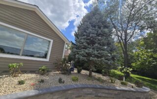 low maintenance landscaping