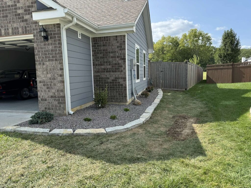 Plants Decorative rock Stone edging