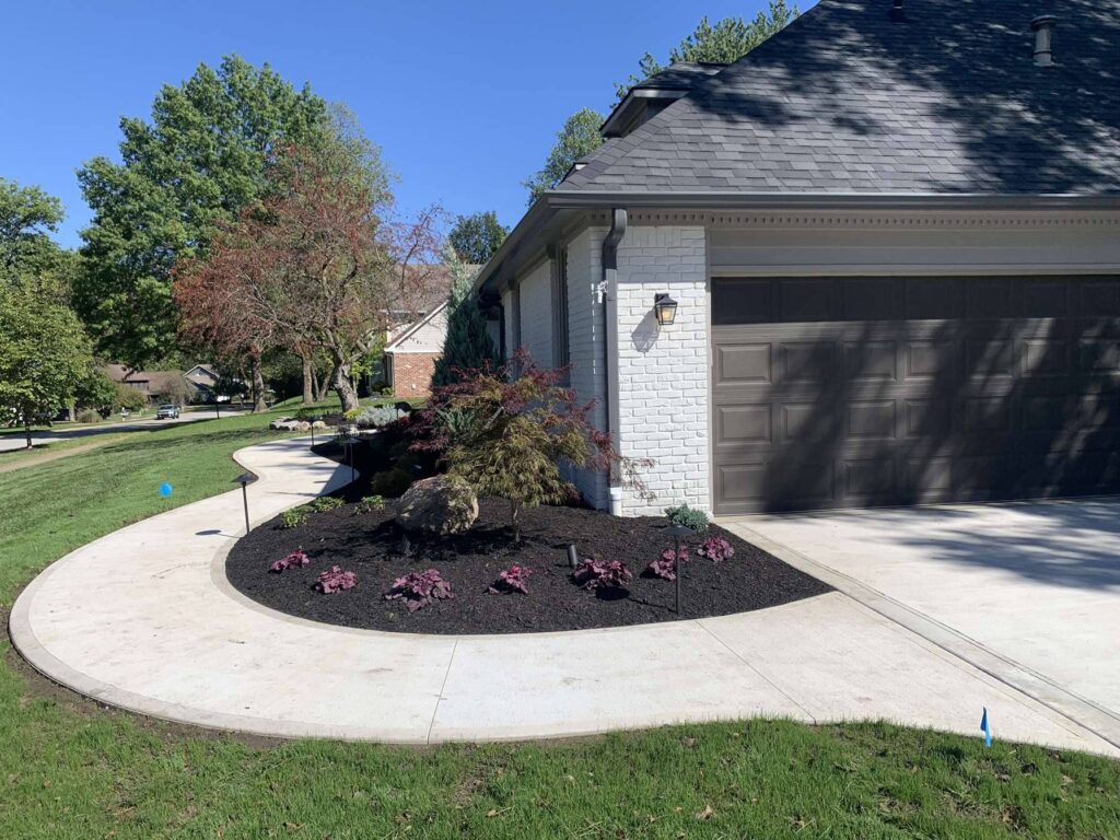 Concrete sidewalk Plants Trees Mulch