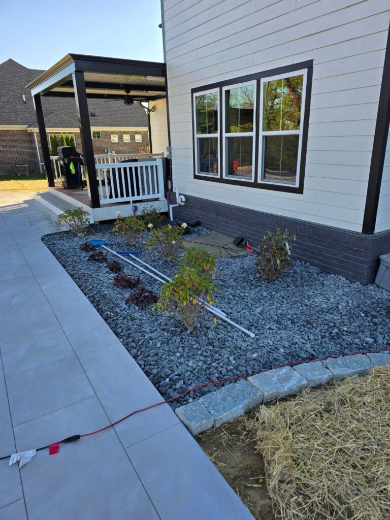 Decorative Rock Plants