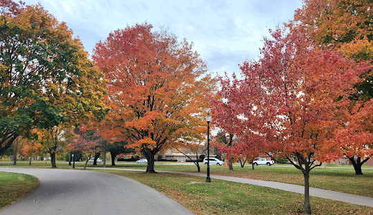 Landscaping – Boone County, IN